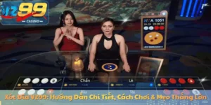 Xóc Đĩa VZ99: Hướng Dẫn Chi Tiết, Cách Chơi & Mẹo Thắng Lớn