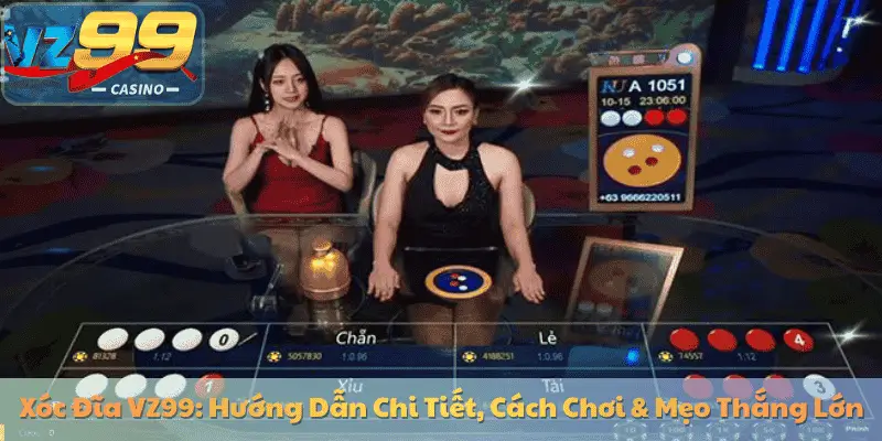Xóc Đĩa VZ99: Hướng Dẫn Chi Tiết, Cách Chơi & Mẹo Thắng Lớn